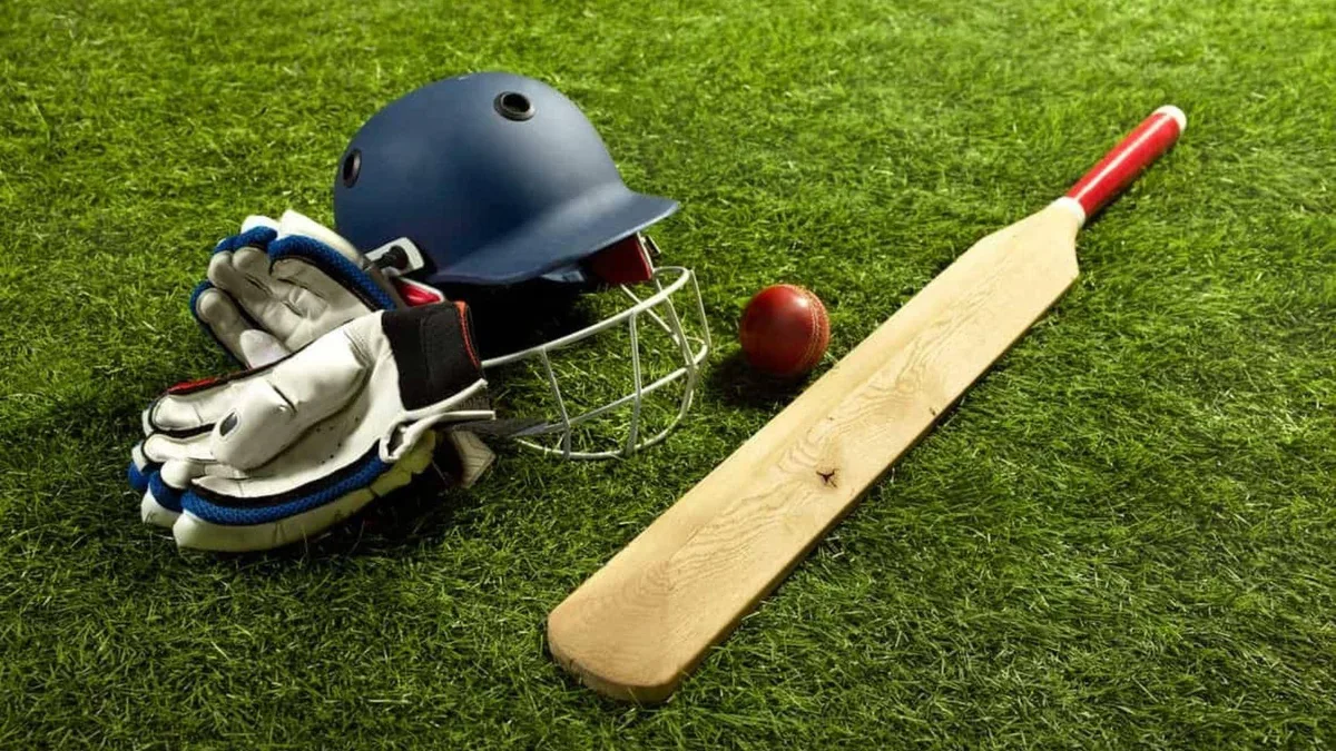 T20 Mumbai League: Aspect Sports wins ninth franchise for Rs 106.88 crore