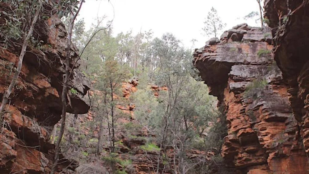 Desperate search for hiker missing in Mount Remarkable National Park, SA