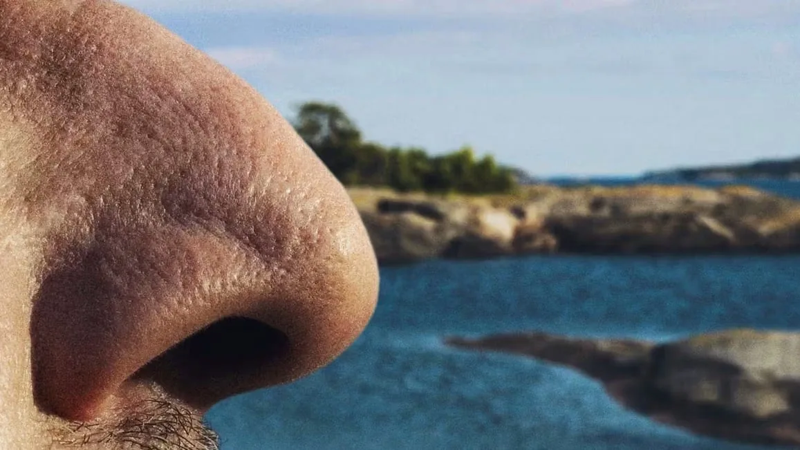 Was man dafür machen muss - Finnen bieten 2000 Euro für Schnüffel-Urlaub