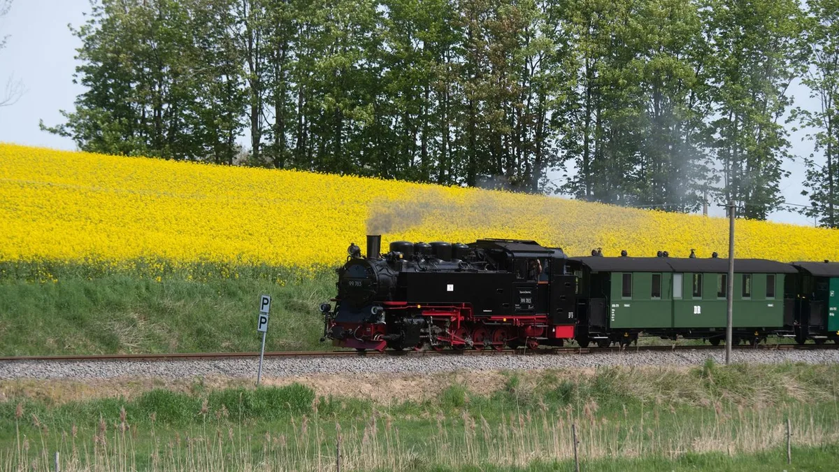 Polizei-Einsatz: Autofahrer übersieht „Rasenden Roland“ und baut Crash