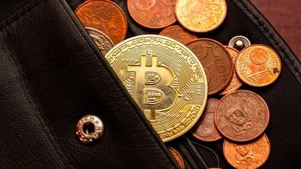Quatre personnes ont été mises en examen pour une tentative d'extorsion de cryptoactifs en Haute-Savoie