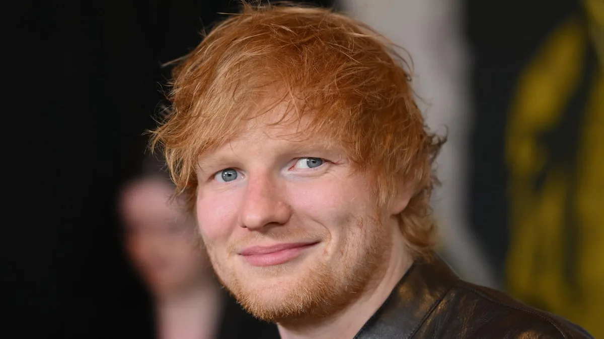Ed Sheeran invirtió más de US$5 millones en un campo: 10 años después tiene 14.000 árboles y un refugio para animales