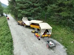 Fahrgäste herausgeschleudert: Frau stirbt bei Unfall mit Pferdekutsche in der Schweiz