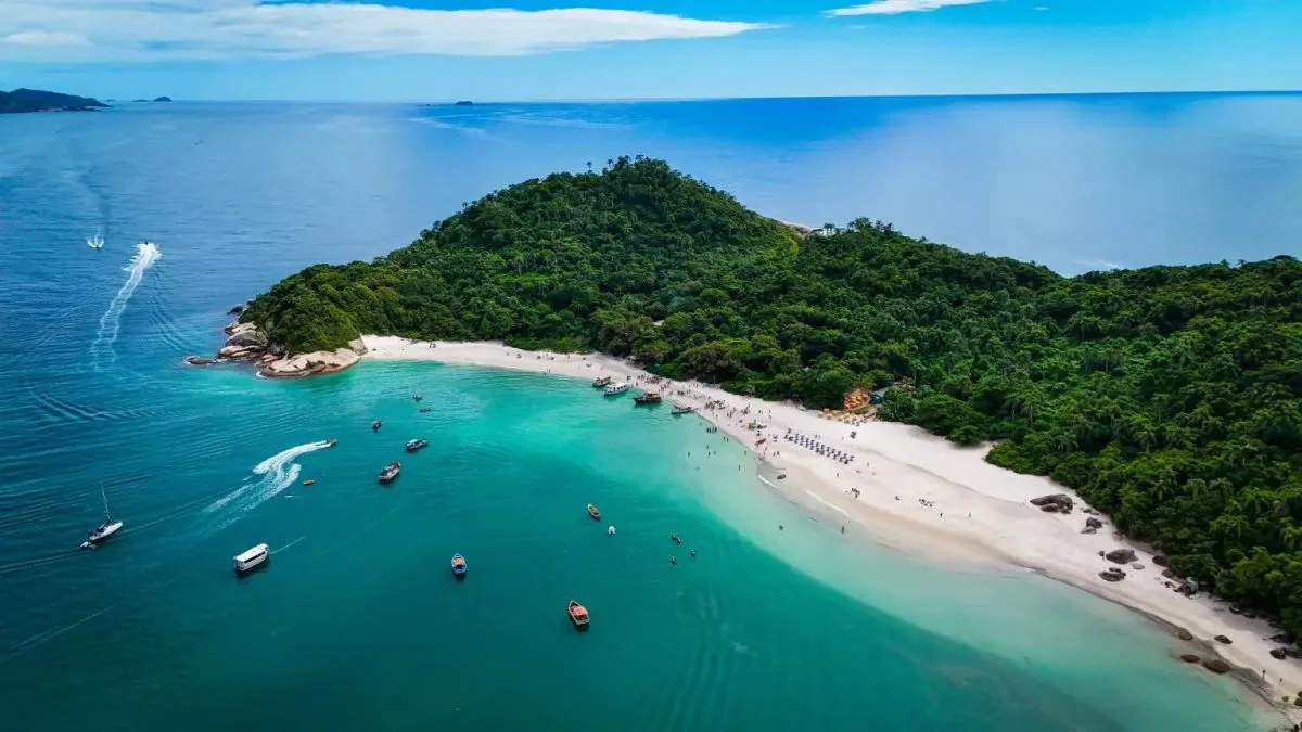 Florianópolis abre inscrições para Conferência de Educação Ambiental