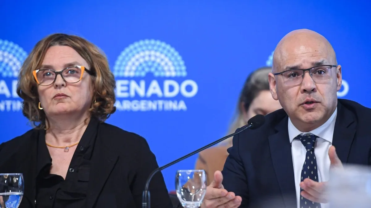 El oficialismo acelera en el Senado sus proyectos de reforma de la Ley de Sociedades y el super-RIGI