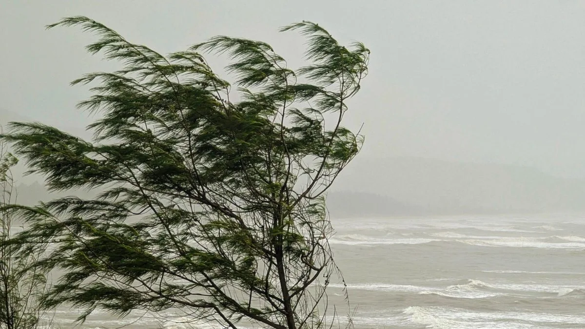 Alertas de vendaval com ventos intensos de até 100 km/h trazem risco de danos a duas regiões do Brasil nesta sexta-feira (21)