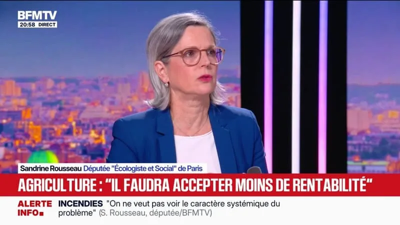 Voter Jean-Luc Mélenchon pour la présidentielle de 2027? "C'est une possibilité", reconnaît Sandrine Rousseau, députée "Écologiste et Social" de Paris