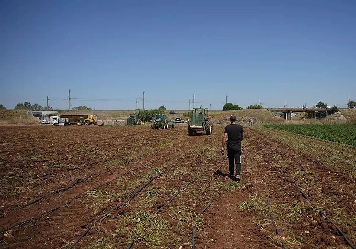 Castilla-La Mancha fija las prioridades para la futura PAC junto a las organizaciones agrarias