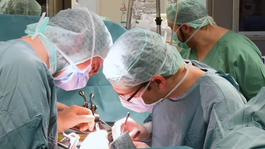 Gesundheit: Nächster Anlauf zu neuen Organspende-Regeln