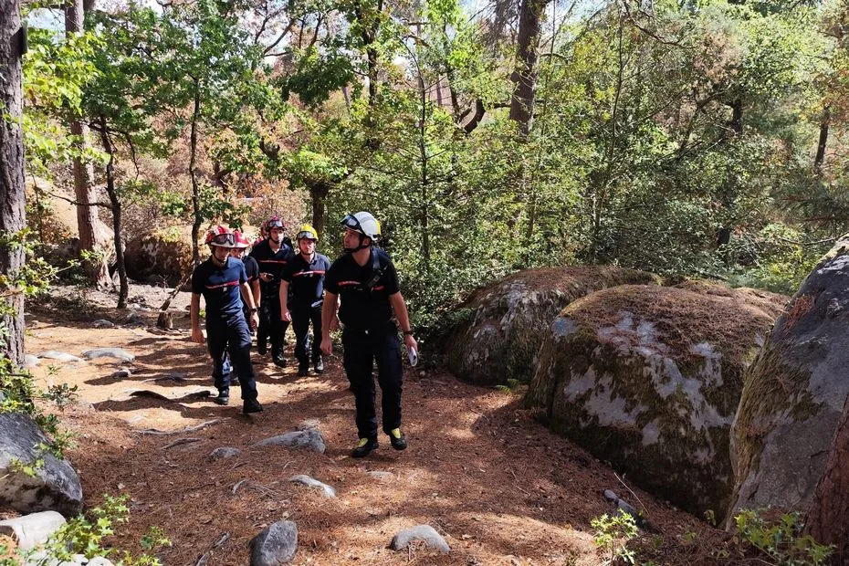 Forêt de Fontainebleau : "les conditions météorologiques se sont adoucies", la "réouverture du massif à 80%" est prévue