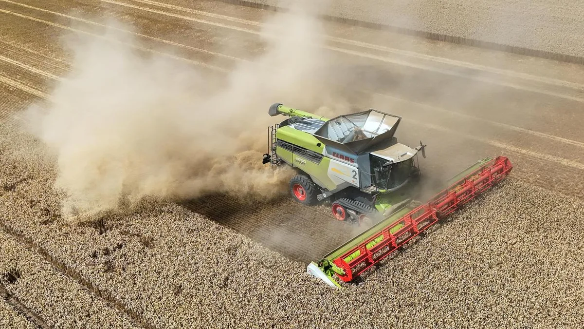 Erntebilanz: Bauernverband rechnet wegen Trockenheit mit schlechter Ernte