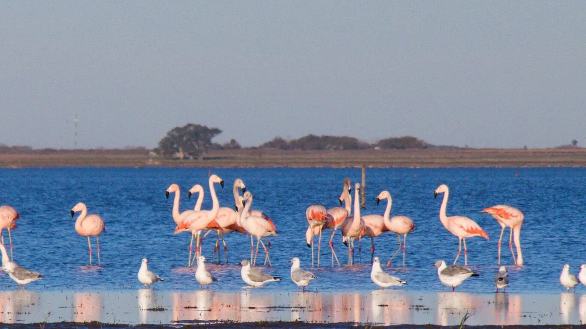 Tiene 2200 habitantes y recibe cientos de turistas al año: el pueblo de Santa Fe con una laguna de 11.000 hectáreas y bodegones