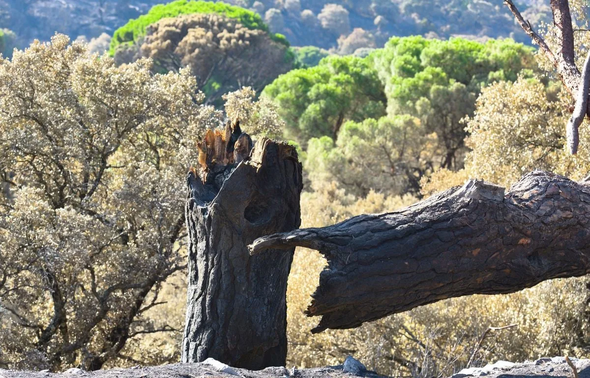 Espagne : Un soldat meurt dans un incendie en Aragon