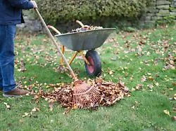 Bevor der Herbst kommt : Diese Gartenarbeiten sollten noch im September erledigt werden