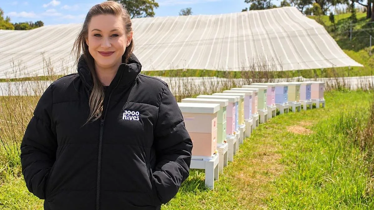 Beehive building initiative pushed as mite threatens Australian bee populations