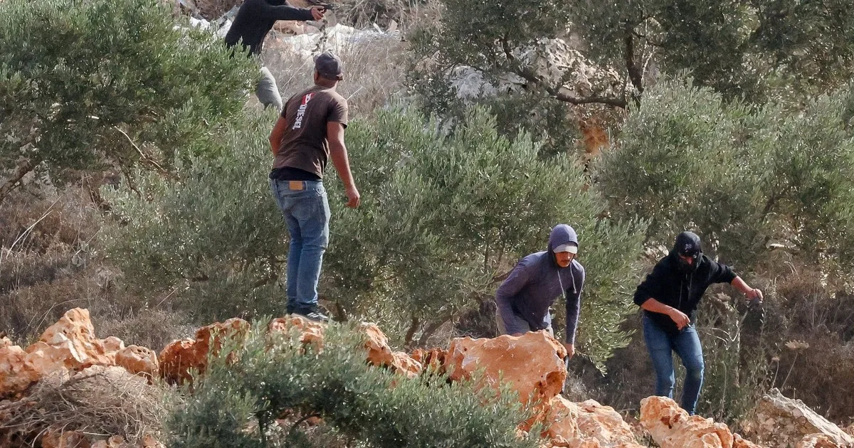 Colonos israelíes atacaron a una delegación diplomática europea en Cisjordania: fuerte repudio del canciller de Bélgica