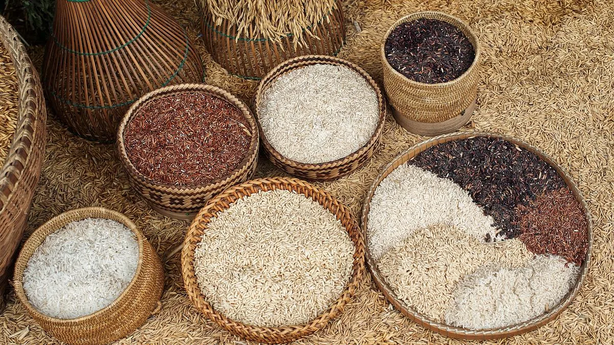 How rice became a universal grain