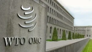 OMC está sem instância de apelação; e isso importa para todos