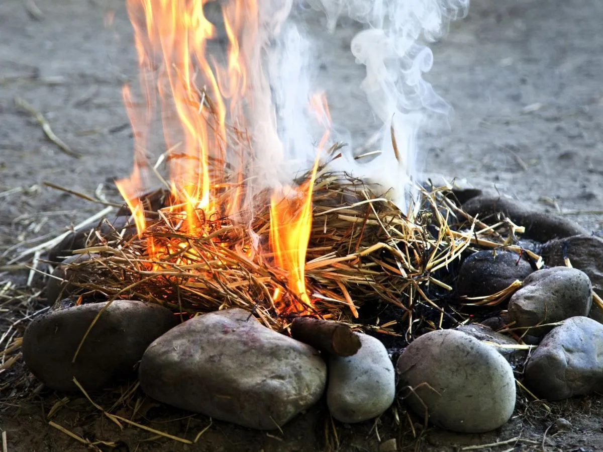 Et du feu naquit le langage