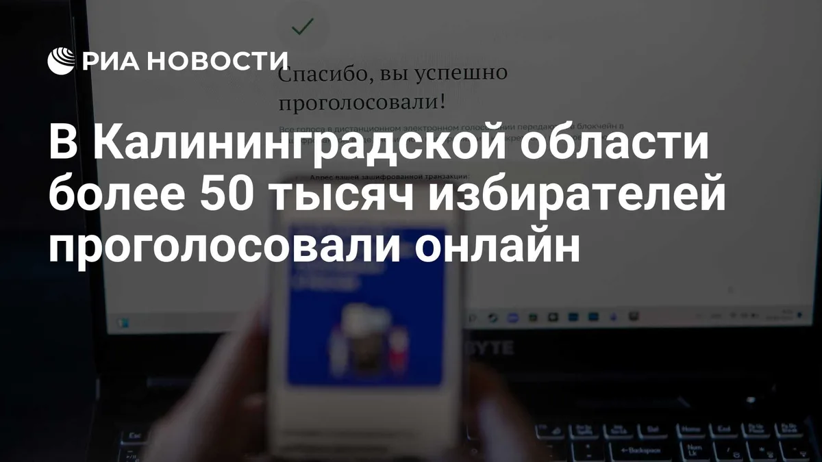В Калининградской области более 50 тысяч избирателей проголосовали онлайн