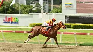 El gran reto en La Rinconada: Violence And Peace (USA) va contra los machos en el Clásico Sprinters (GI)