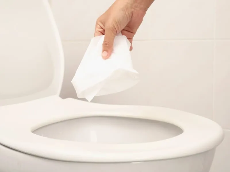 Projeto exige fabricar papel higiênico que dissolva no vaso sanitário