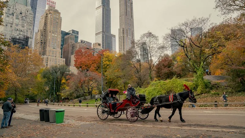 New York’s famous Central Park horse-drawn carriages set to be banned