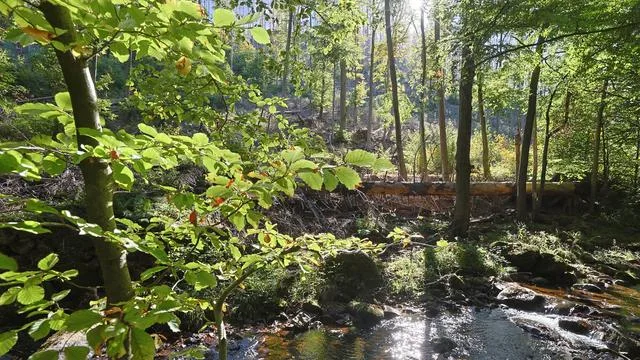 Wetter: Bis zu 21 Grad am Freitag - dann wird es herbstlich