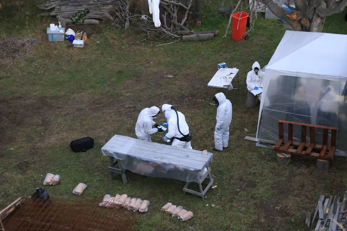 Hantavirus: una publicación en The Lancet destaca la respuesta argentina ante el brote del crucero