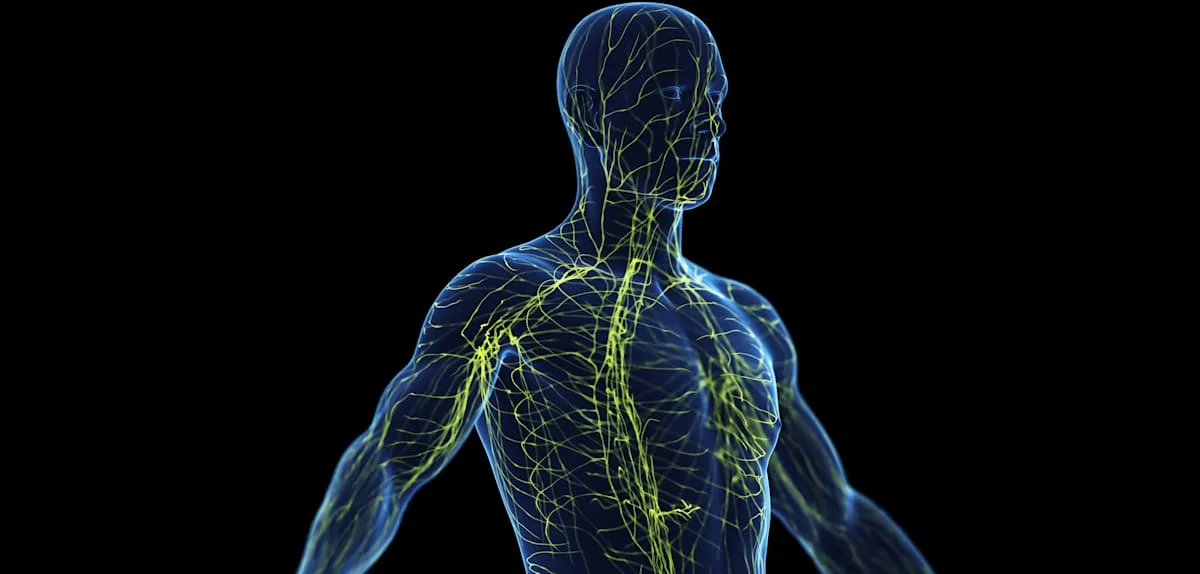 Die oft unterschätzten Risiken einer Sepsis – und wie man sie erkennt