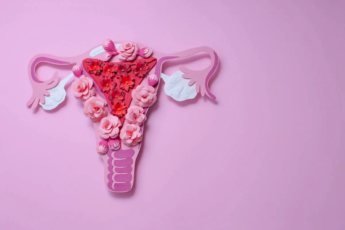 Medicina conhece menos o corpo feminino do que deveria, diz ginecologista