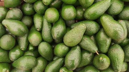 África produce gran parte de sus frutos, pero gana menos del 10% de su valor dentro del mercado global