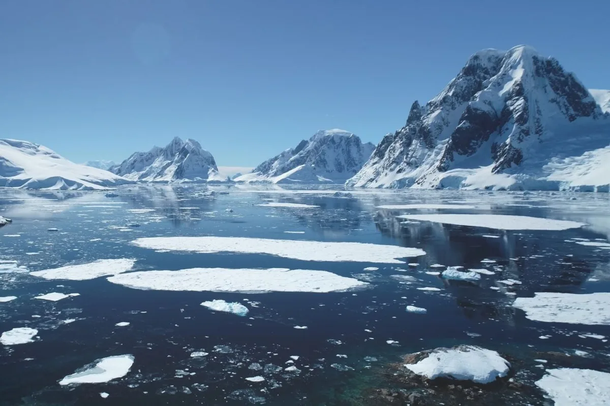 Rising Temperatures Are Turning Antarctica Into a ‘Hotspot’ for This Toxic Pollutant