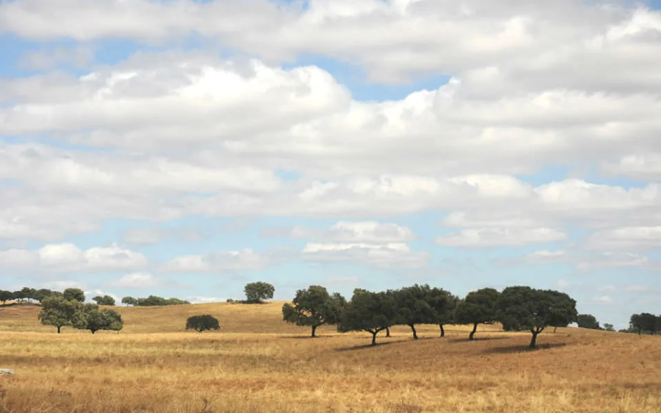 Alentejo 2030 apoia com 15 milhões aquisição de meios de combate a incêndios