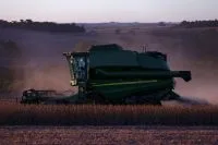 Mulher destrói canavial e planta 119 mil árvores de mais de 10 metros de altura; uma década depois, animais silvestres circulam a região