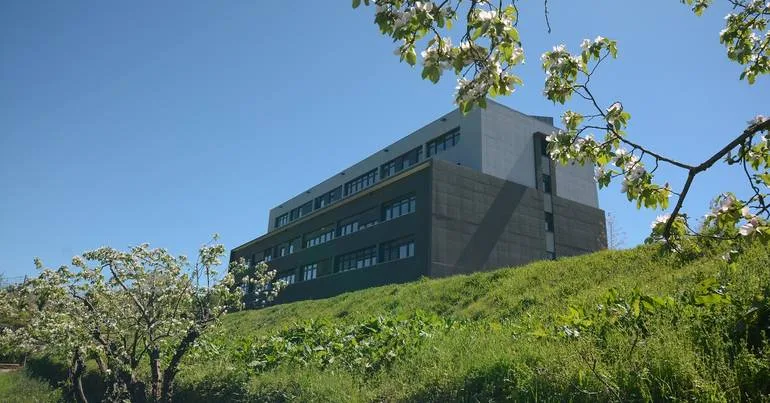 "Mais vagas em Medicina não resolve o SNS"