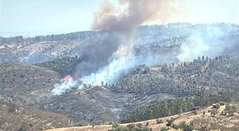 Dois bombeiros feridos no incêndio em Portel