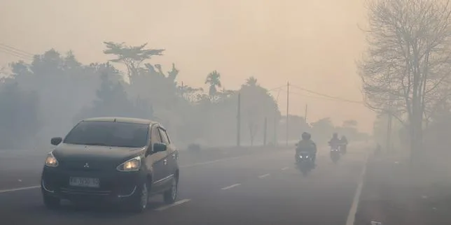 En Indonésie, 200 000 hectares ont brûlé depuis le début de l’année, mais le pire reste à venir, alertent les autorités