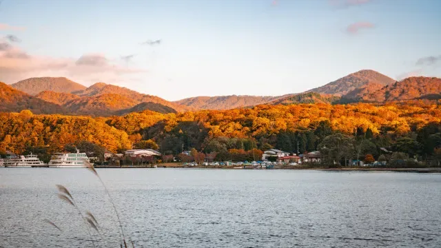 Turista estrangeiro atacado por um urso perto do lago Towada no Japão