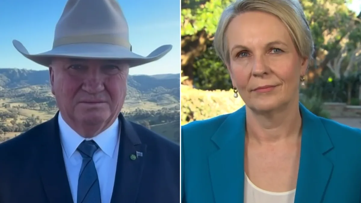 Labor minister Tanya Plibersek says government ‘not focused on polling’ as support sinks to near-record low