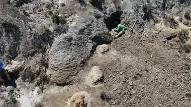 Sensationsfund: Millionen Jahre alte T. rex-Spur entdeckt