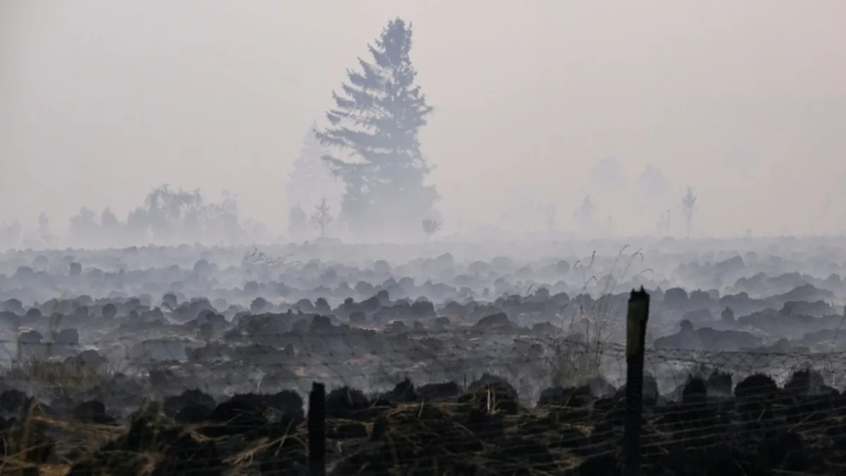 Waldbrand im Hohen Venn: Deutsche Feuerwehrleute ziehen ab
