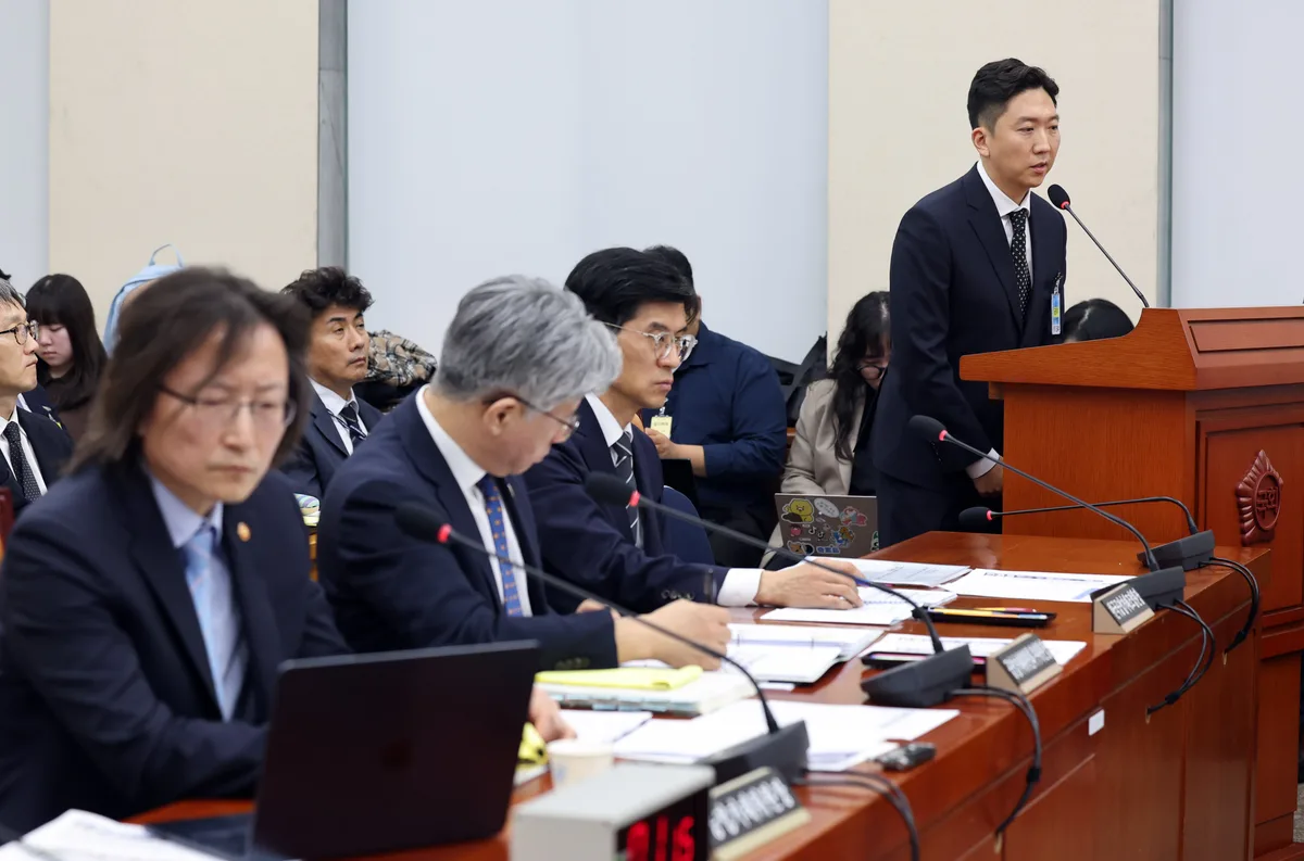 국감 간 네이버·토스 갈등…‘포스 연동 배제’ ‘검색 왜곡’ 공방