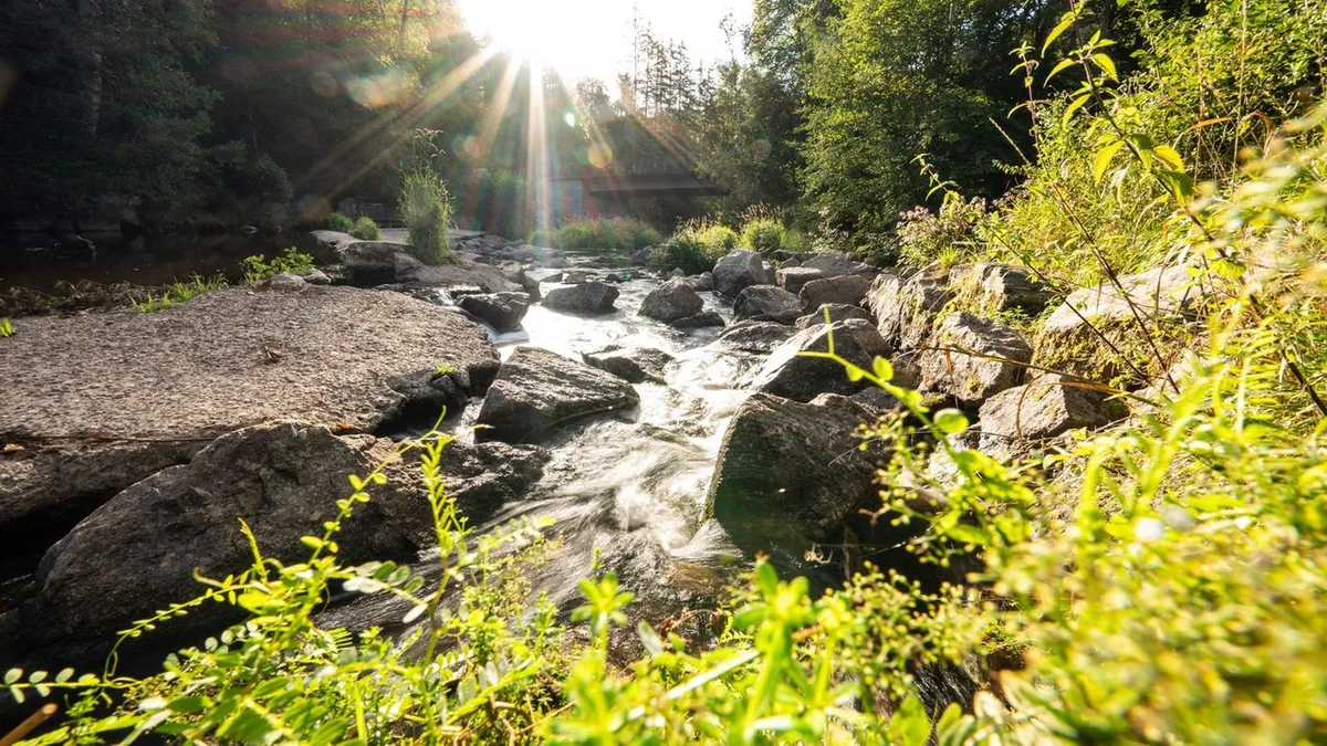 Wetteraussichten: Herbststart mit Sonne satt: So warm bleibt es im Südwesten