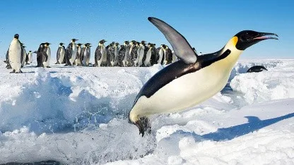 Kernel 7.2: Linux Kernel verteilt Prozesse effizienter und swapped besser