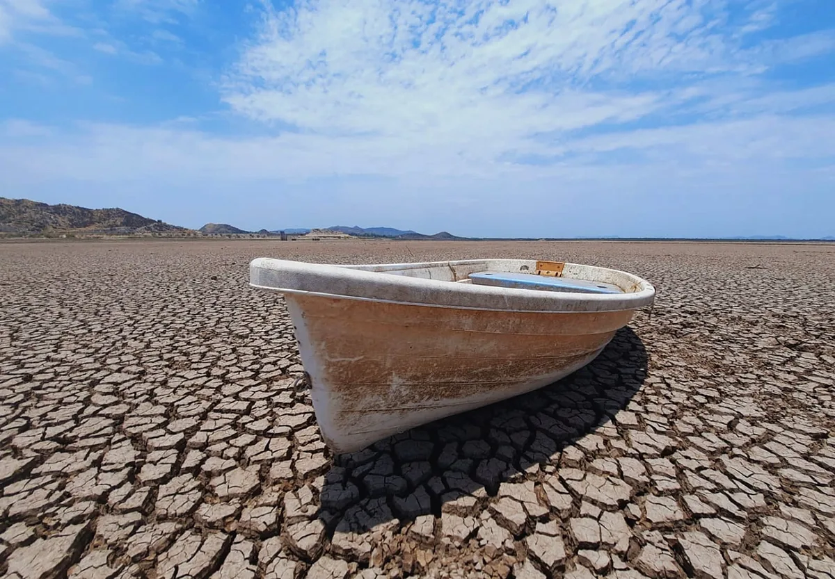 Combate al cambio climático sin recursos: Paquete Económico 2027 destina 16 veces más dinero a trenes que al medio ambiente