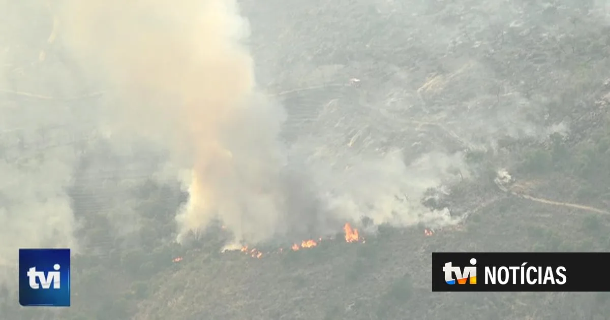 Chamas em Torre de Moncorvo ganham força e fogem ao controlo dos bombeiros: "Cerca de 70% da área do incêndio é de difícil acesso"