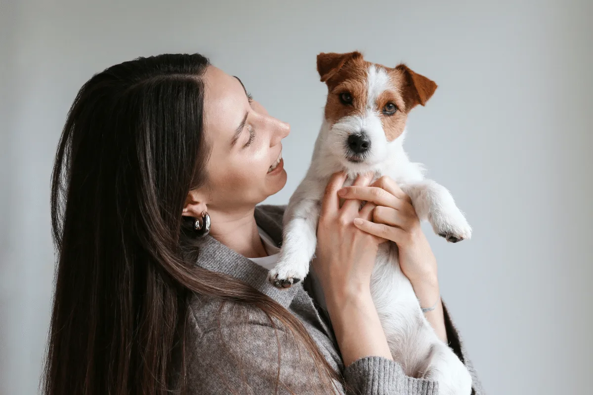 Seu pet está com dor? 7 sinais que podem revelar que algo não vai bem
