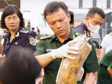 Authorities in Vietnam discover more than a ton of concealed ivory illegally shipped from Africa