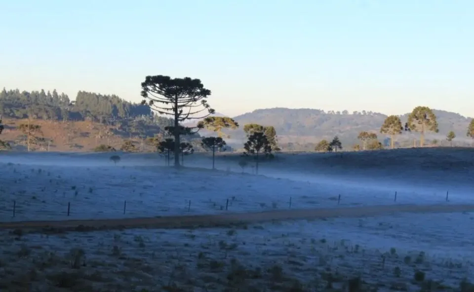 Prepare as cobertas: massa de ar frio avança pelo Brasil para o início de setembro e pode trazer temperaturas perto de 0º C